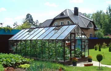 3.2mm Tempered glass on greenhouse